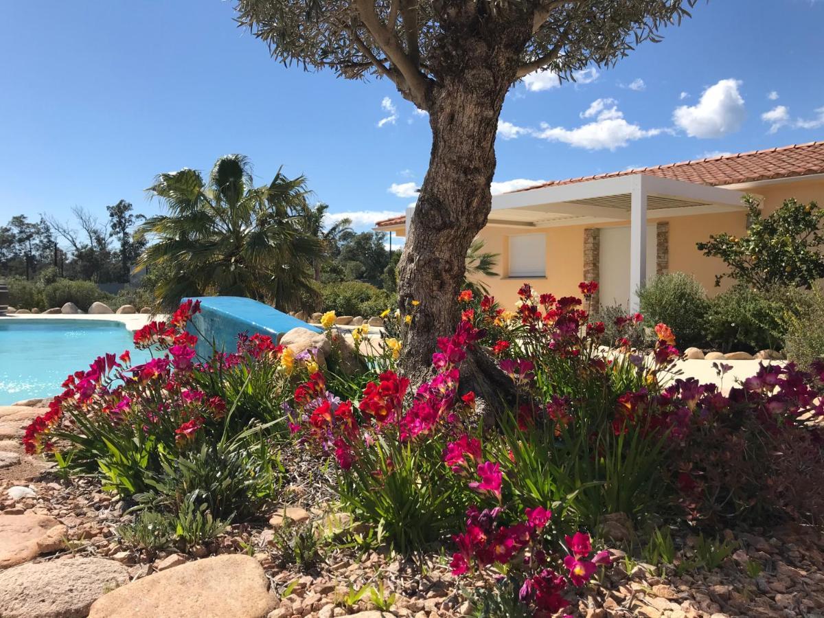 L'Hacienda Piscine Chauffee A 28, Spa, Boulodrome Et Court De Tennis Prives, 2 Villas Independantes 维琪奥港 外观 照片
